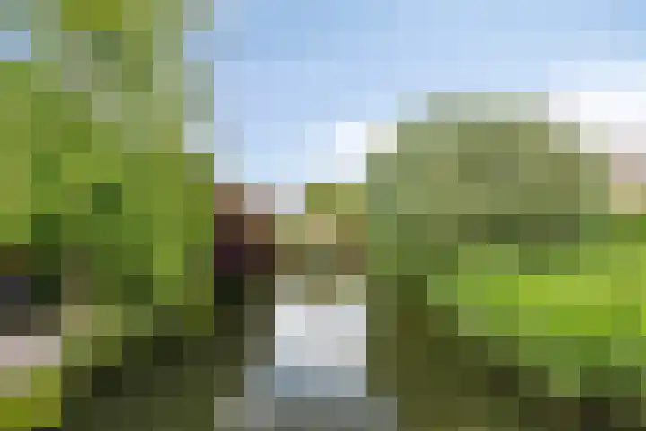 Monethof 66 Hoorn thumbnail 35