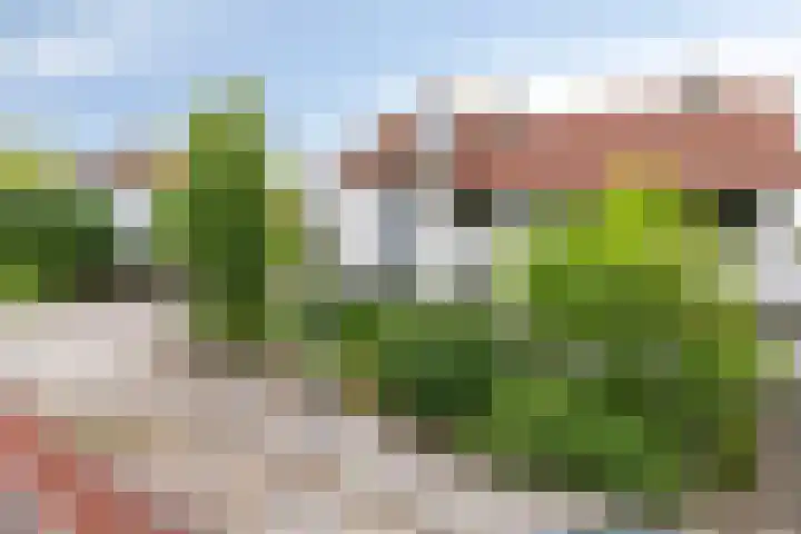 Monethof 66 Hoorn thumbnail 37