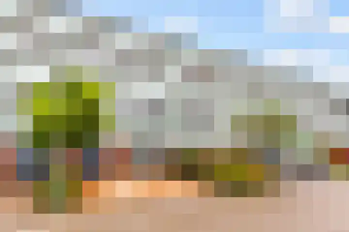 Monetstraat 13 Almere thumbnail 4