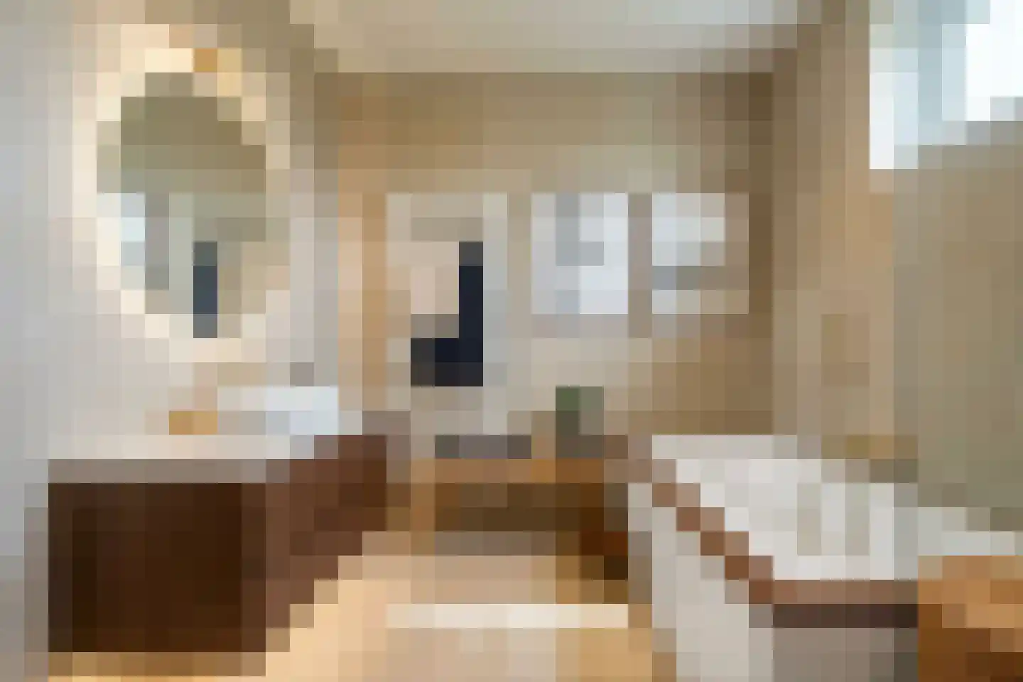 Monetstraat 6 Rijnsburg thumbnail 23