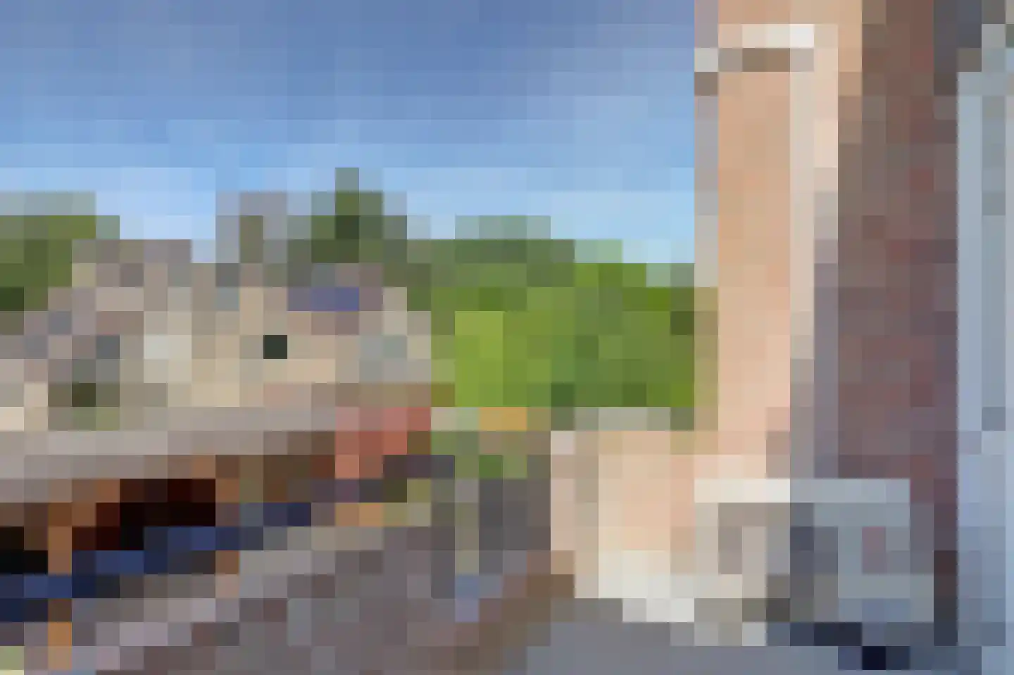 Monnen-bogerd 3 Hendrik-Ido-Ambacht thumbnail 33