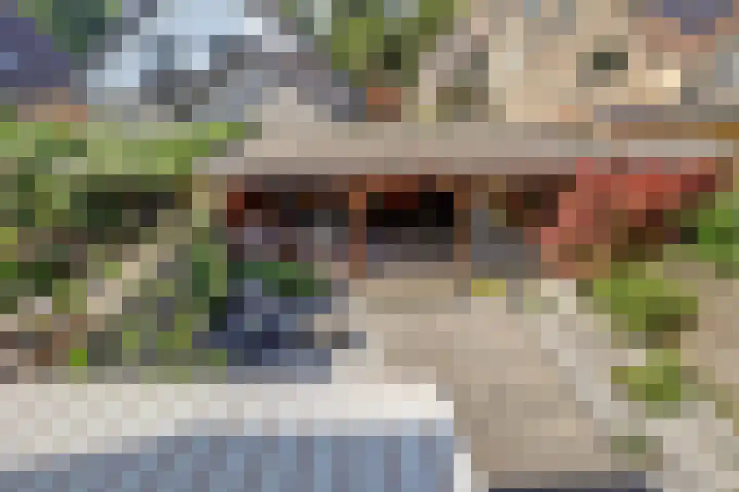 Monnen-bogerd 3 Hendrik-Ido-Ambacht thumbnail 34