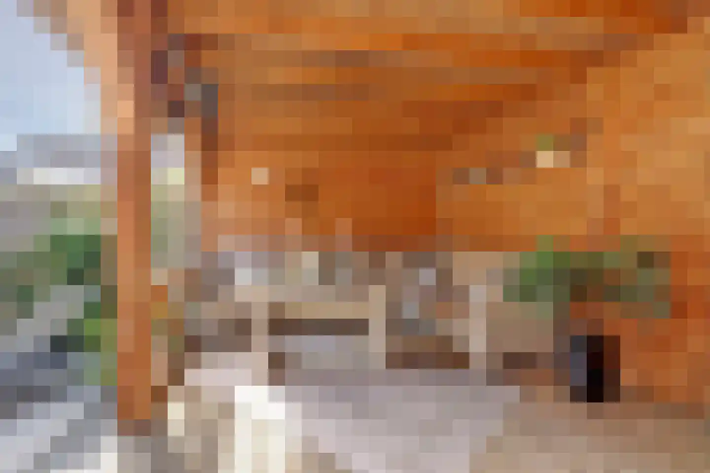 Monnen-bogerd 3 Hendrik-Ido-Ambacht thumbnail 47