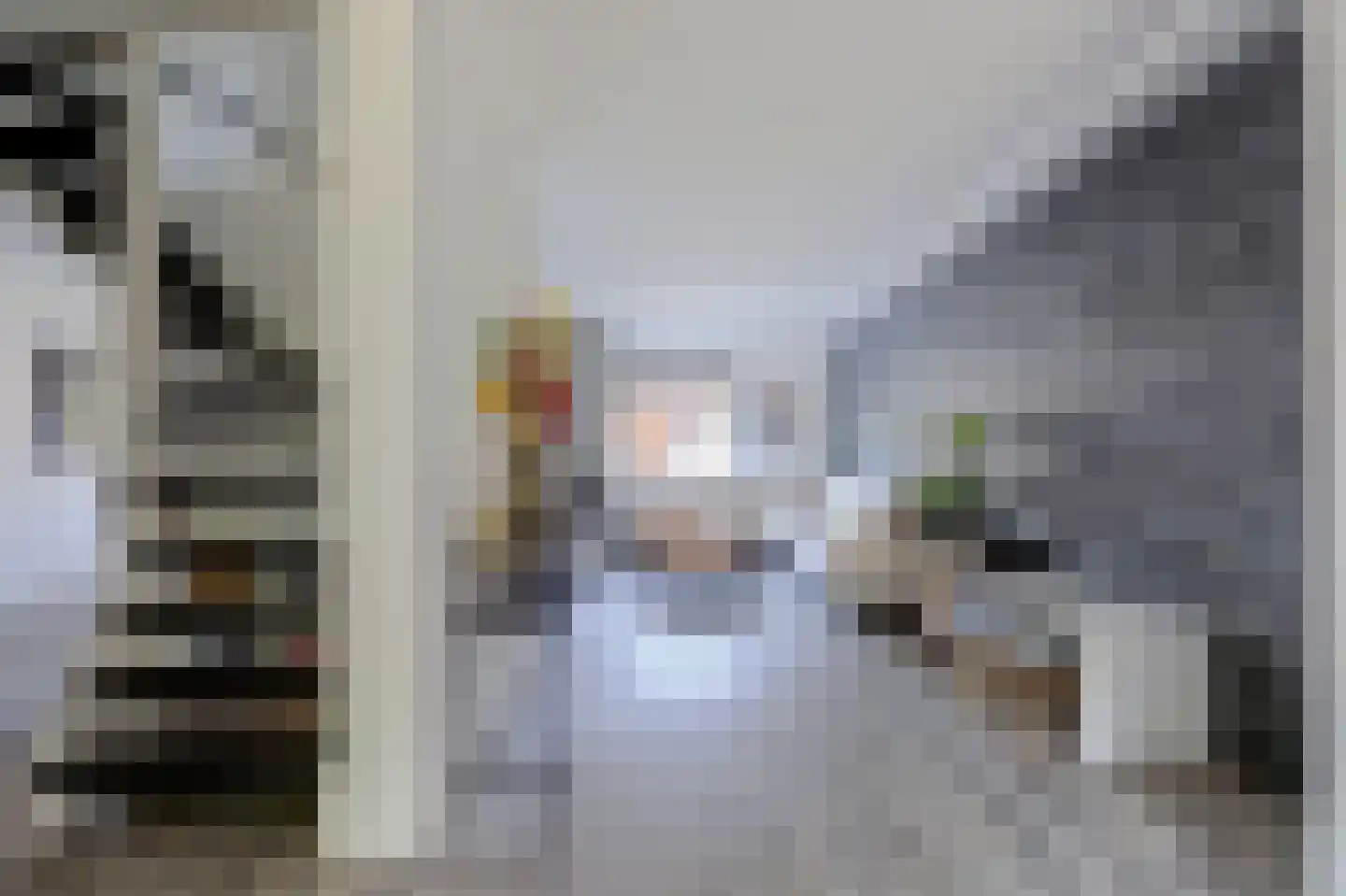 Monnen-bogerd 3 Hendrik-Ido-Ambacht thumbnail 8
