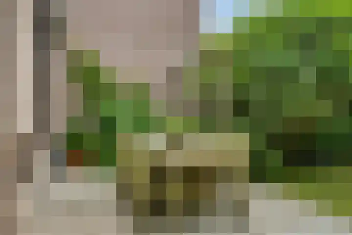 Monnen-bogerd 7 Hendrik-Ido-Ambacht thumbnail 37