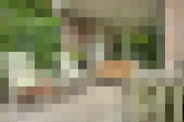 Monnen-bogerd 7 Hendrik-Ido-Ambacht thumbnail 38