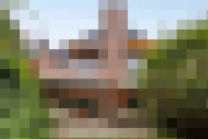 Monnen-bogerd 7 Hendrik-Ido-Ambacht thumbnail 43