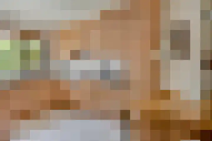 Monnen-bogerd 7 Hendrik-Ido-Ambacht thumbnail 6
