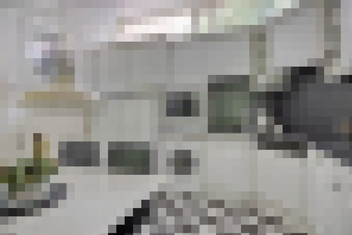 Monnet-Nes 3 Bergen (NH) thumbnail 15