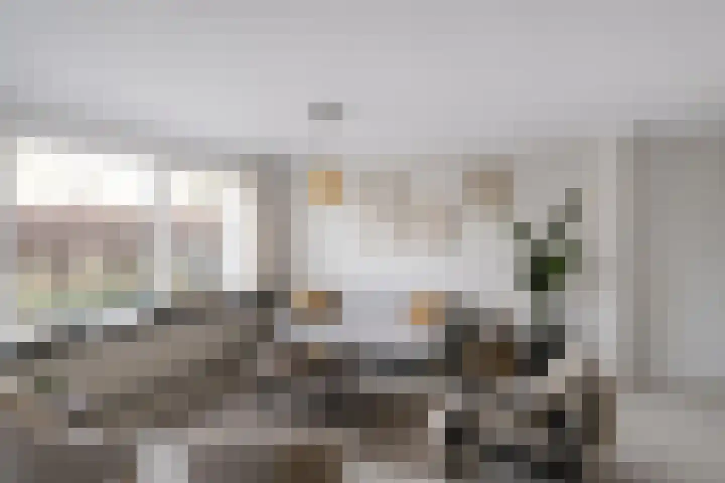 Monnet-Nes 3 Bergen (NH) thumbnail 9