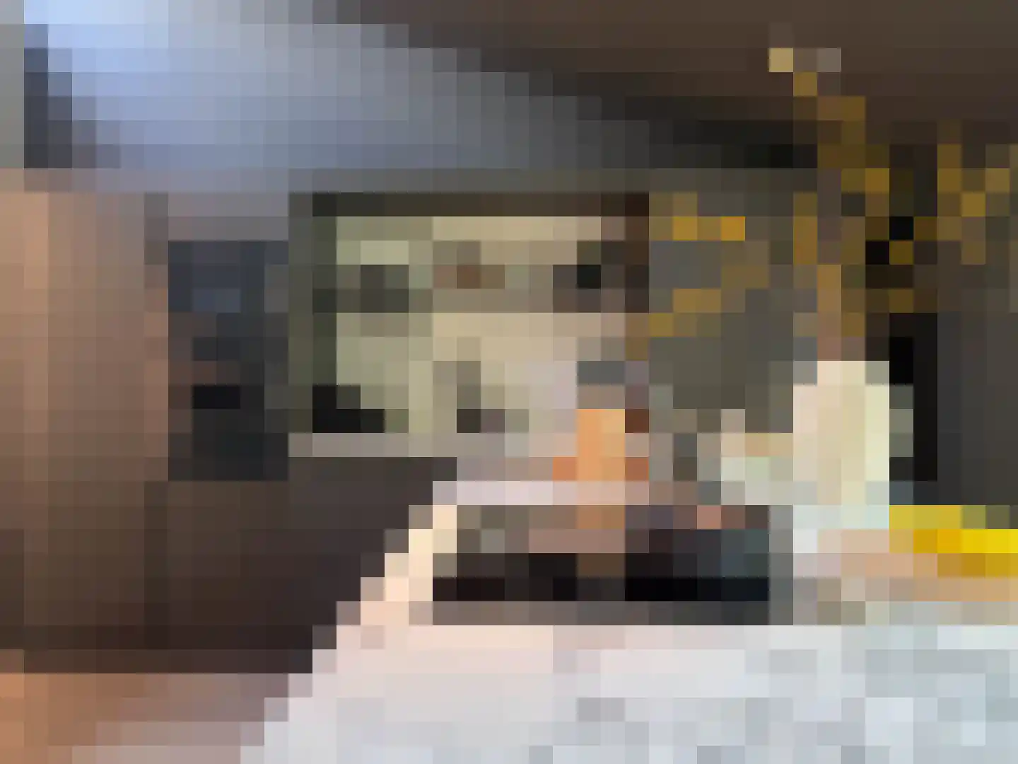 Monnet-Nes 7 Bergen (NH) thumbnail 4