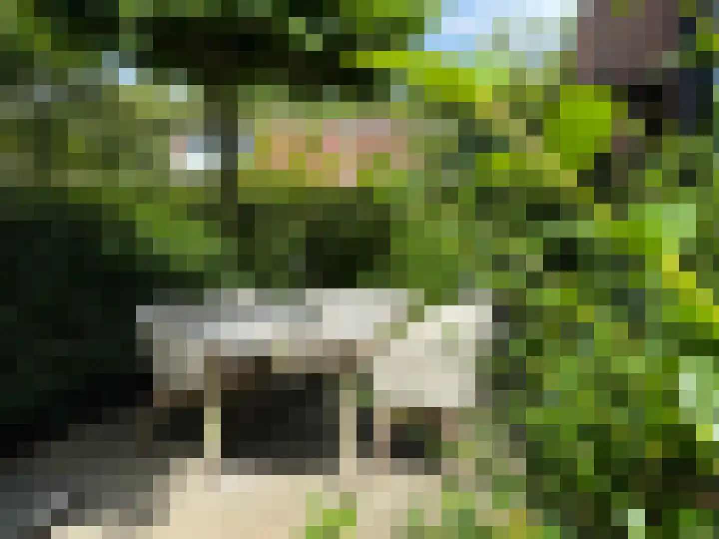 Monnet-Nes 7 Bergen (NH) thumbnail 45