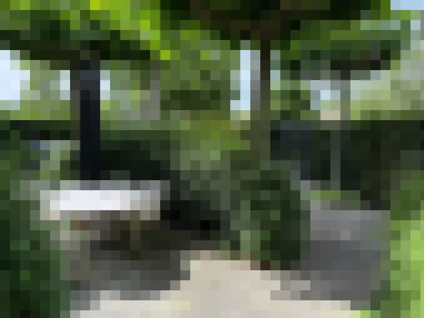 Monnet-Nes 7 Bergen (NH) thumbnail 46