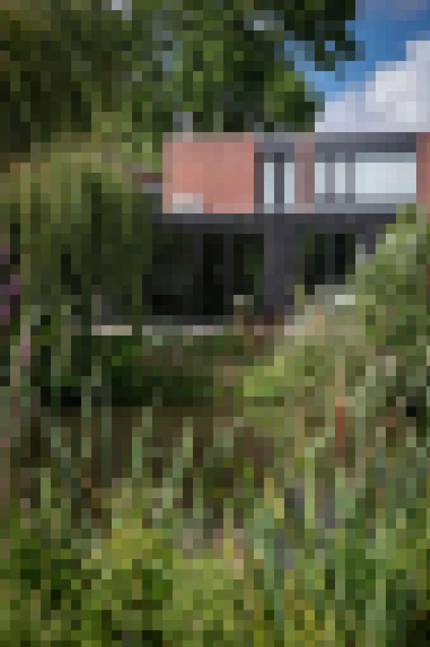 Monnet-Nes 7 Bergen (NH) thumbnail 47
