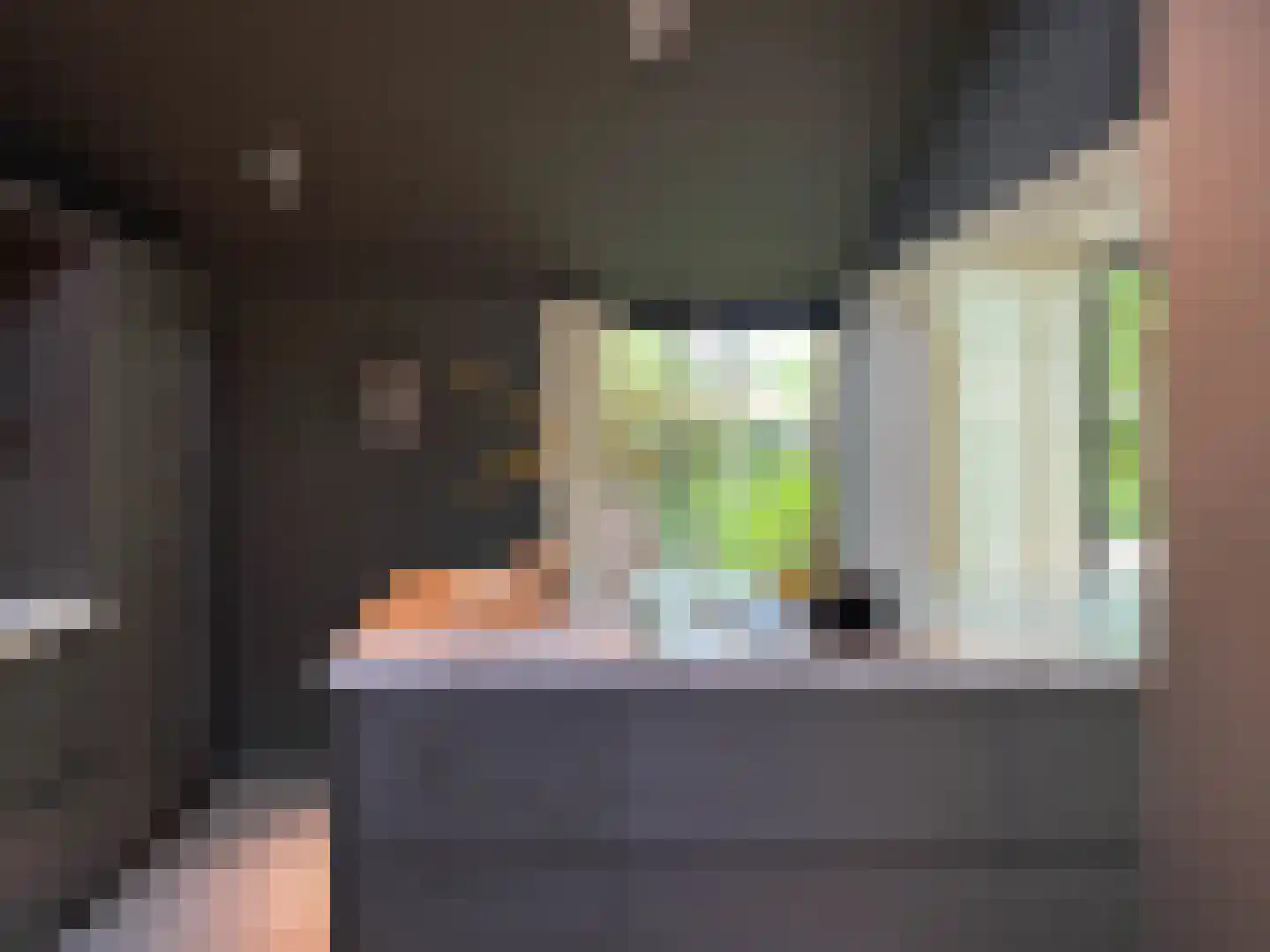 Monnet-Nes 7 Bergen (NH) thumbnail 7