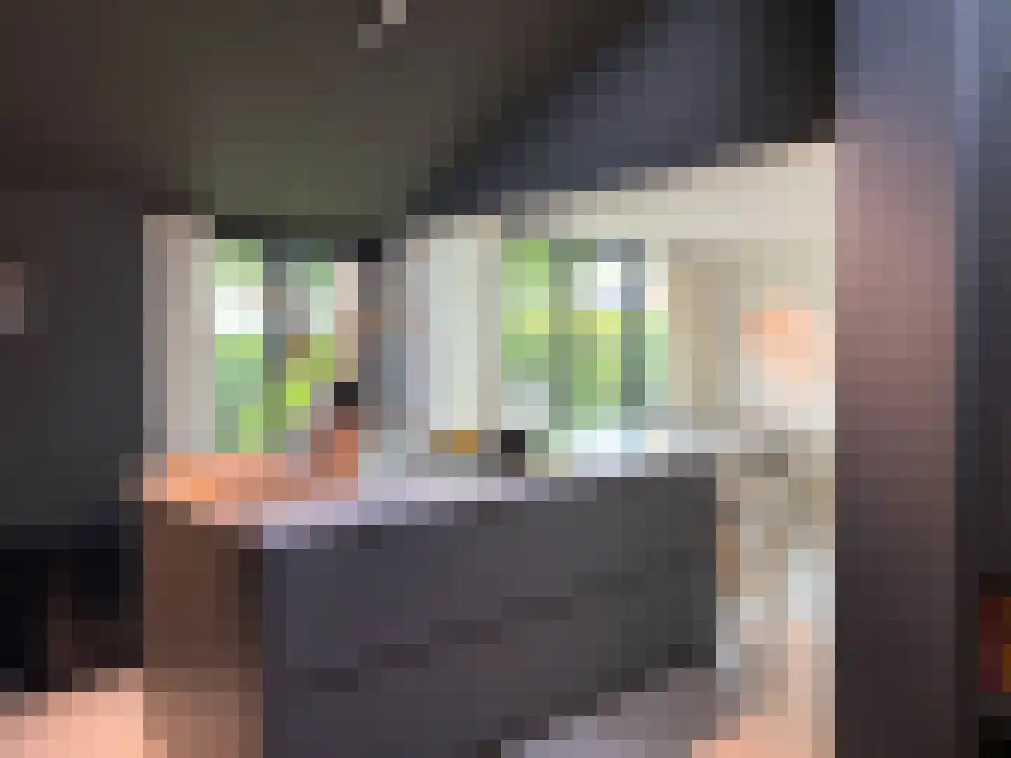 Monnet-Nes 7 Bergen (NH) thumbnail 8