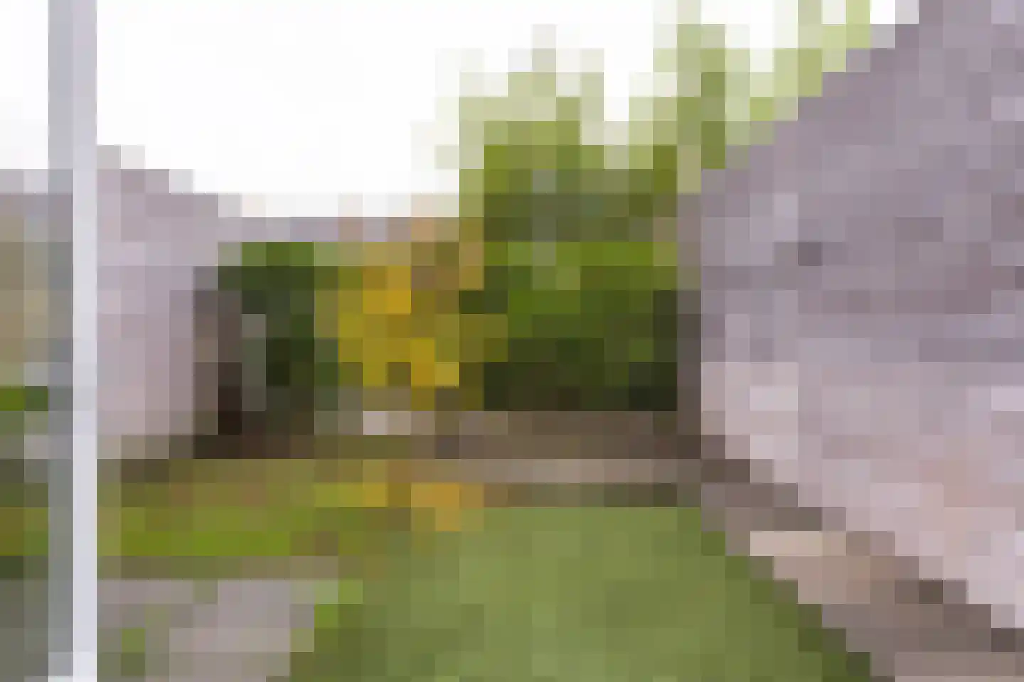 Monnetlaan 1 A Utrecht thumbnail 10