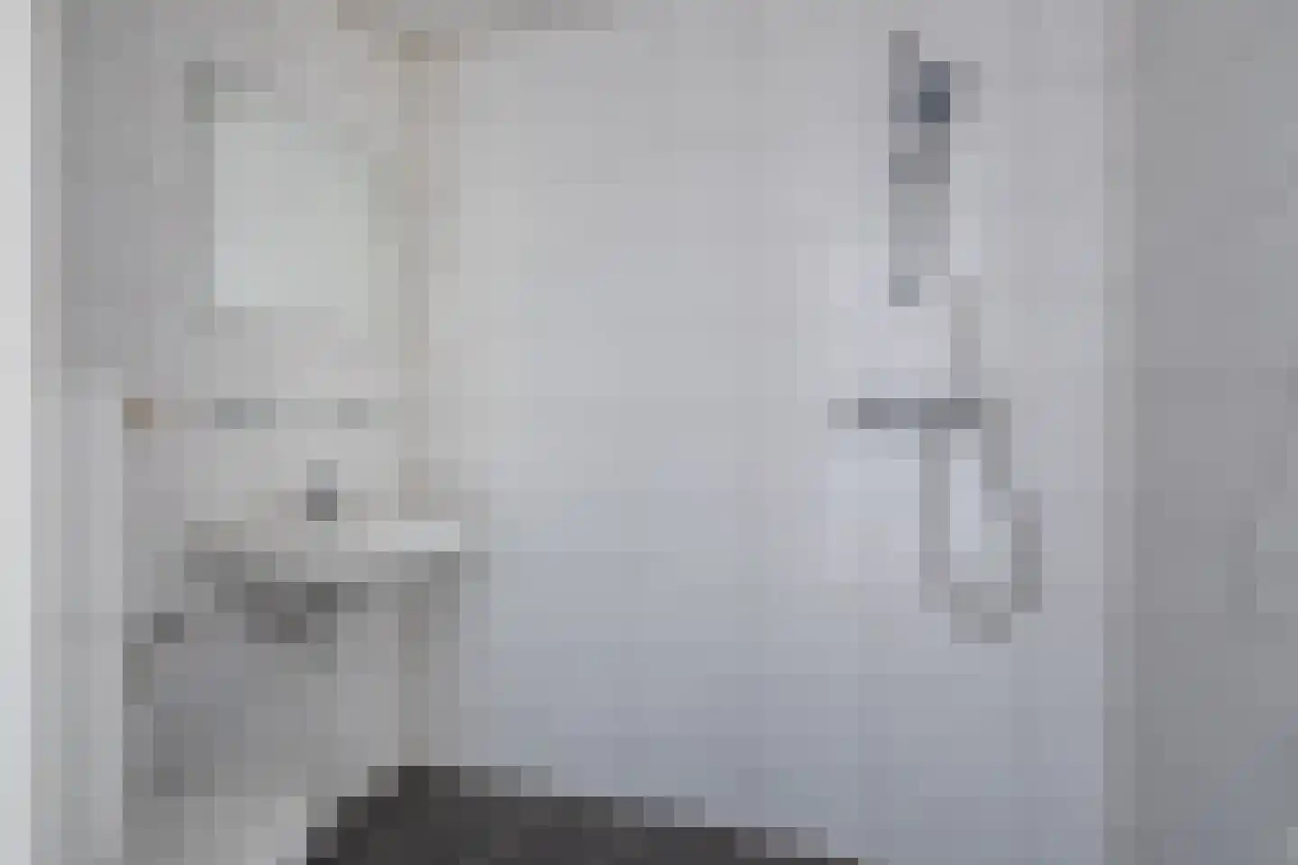 Monnetlaan 1 A Utrecht thumbnail 7