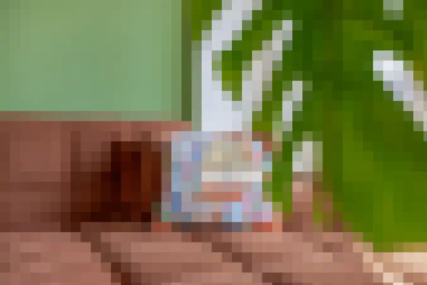 Monnetlaan 104 Utrecht thumbnail 16