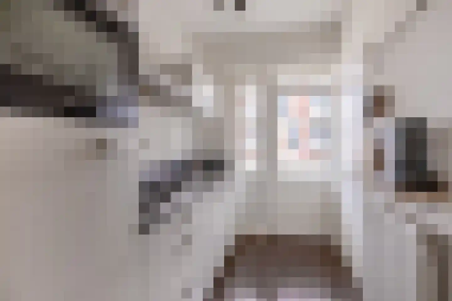 Monnetlaan 104 Utrecht thumbnail 24