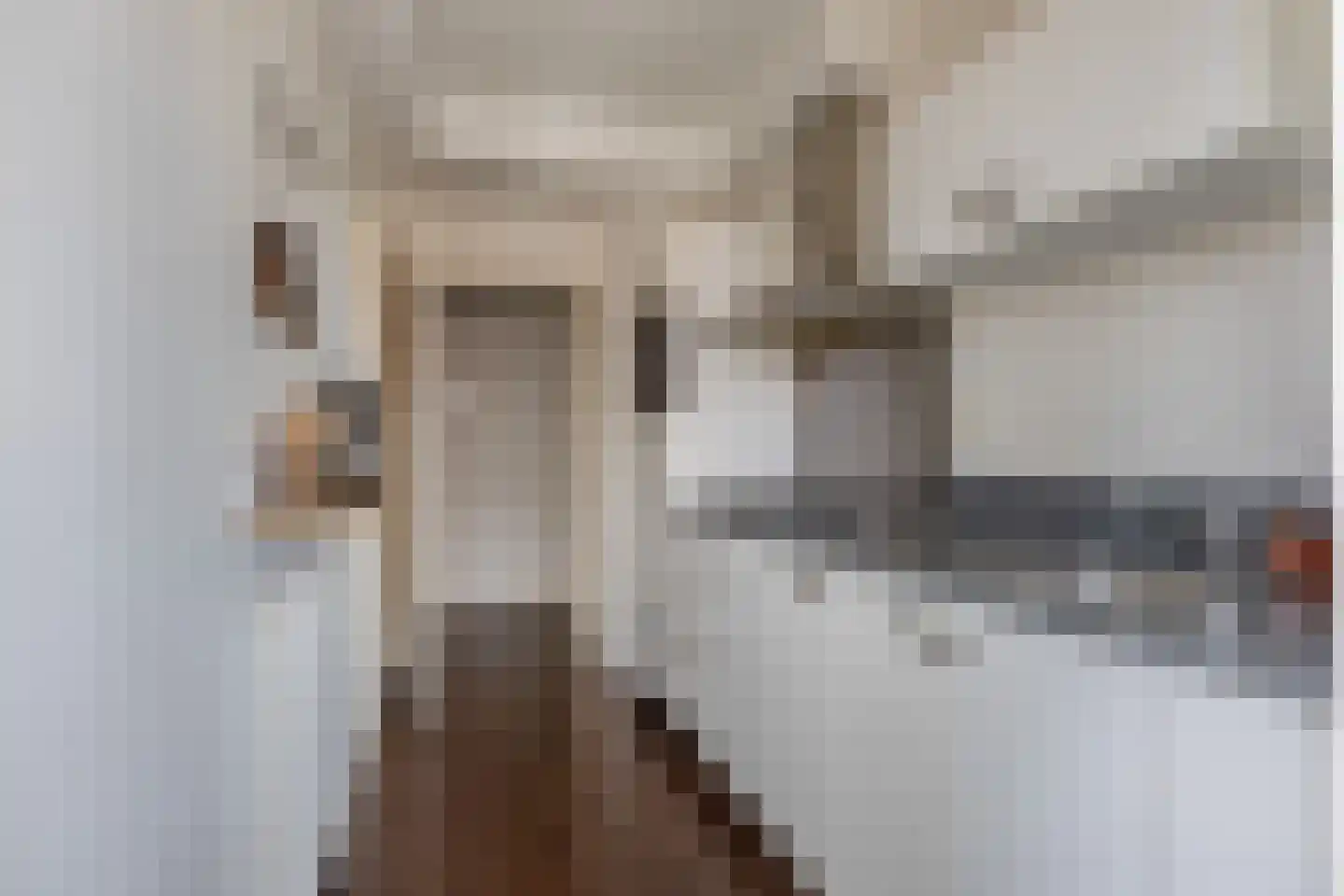 Monnetlaan 104 Utrecht thumbnail 25