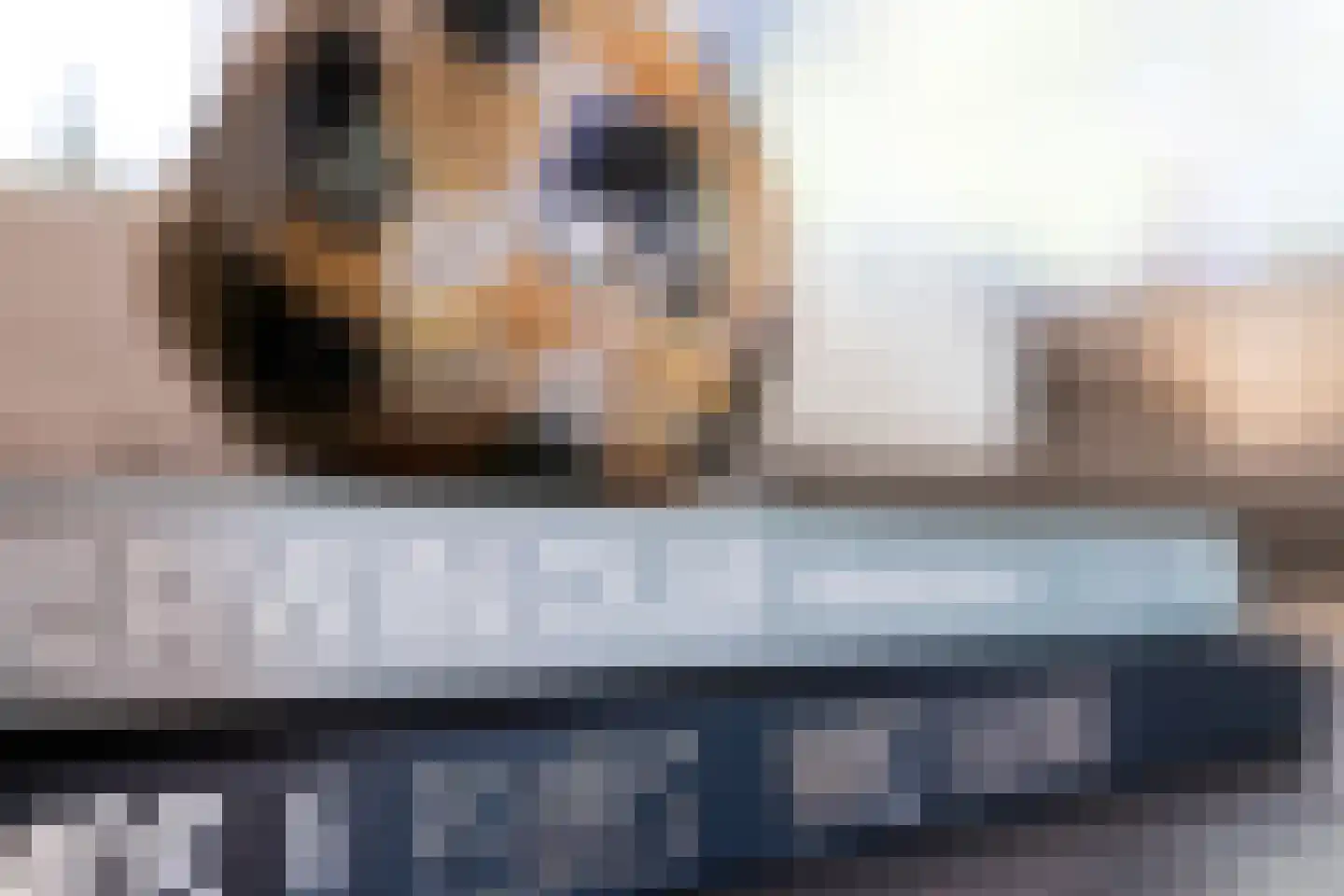 Monnetlaan 11 Woerden thumbnail 15