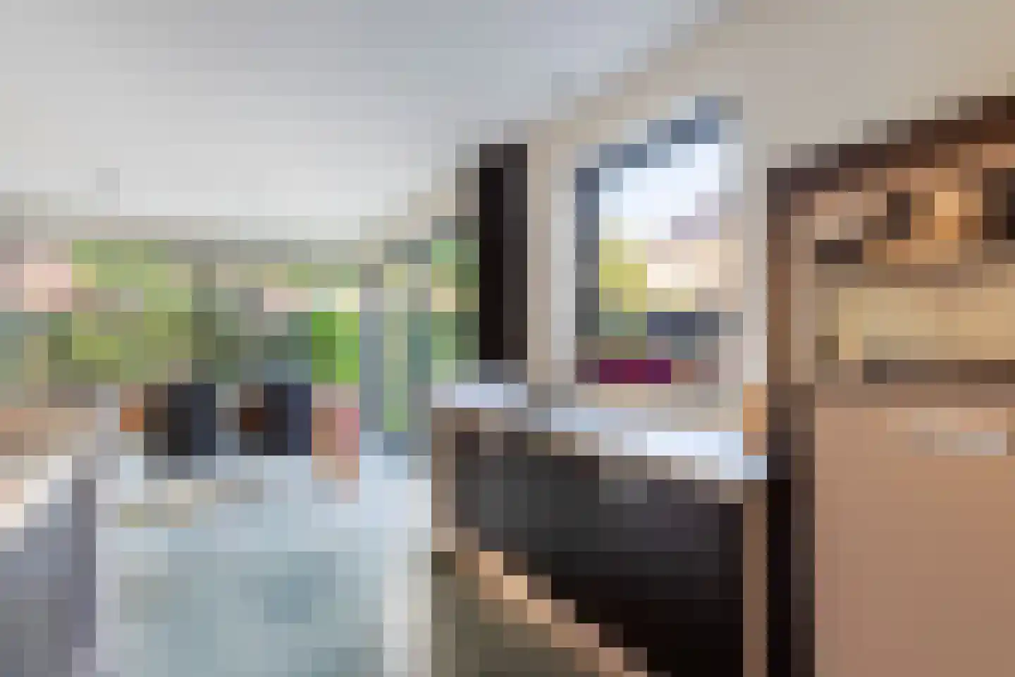 Monnetlaan 11 Woerden thumbnail 21