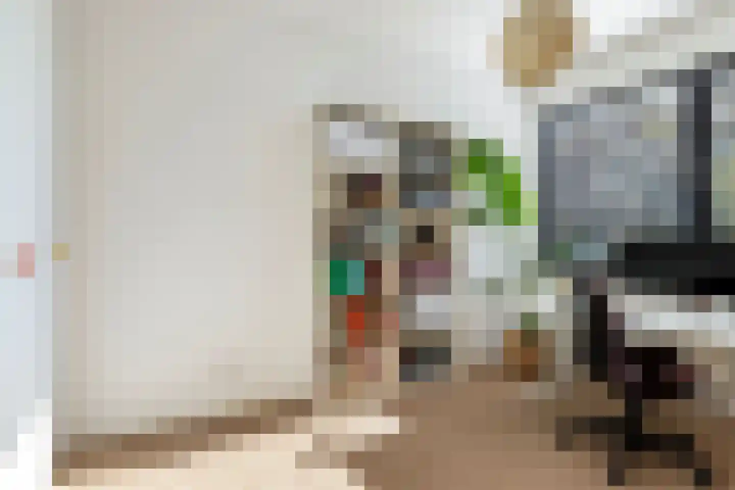 Monnetlaan 11 Woerden thumbnail 32