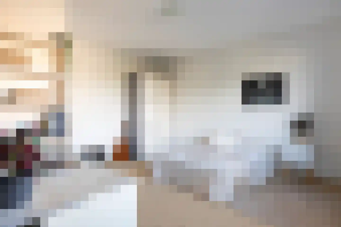 Monnetlaan 11 Woerden thumbnail 35
