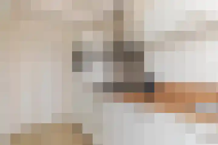 Monnetlaan 110 Utrecht thumbnail 16
