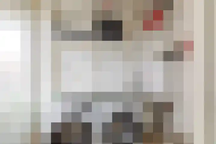 Monnetlaan 110 Utrecht thumbnail 18