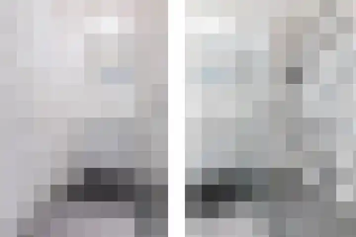 Monnetlaan 110 Utrecht thumbnail 26