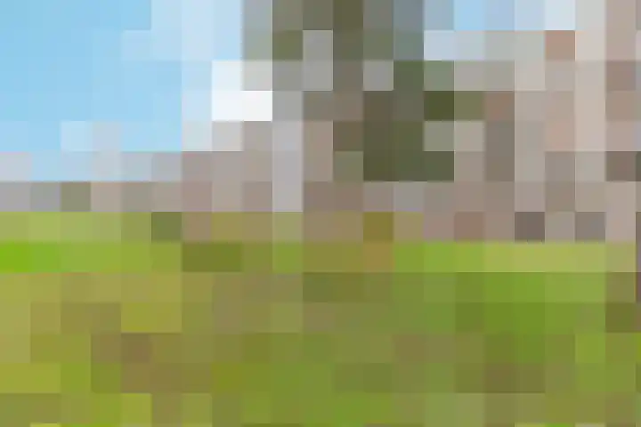 Monnetlaan 110 Utrecht thumbnail 34