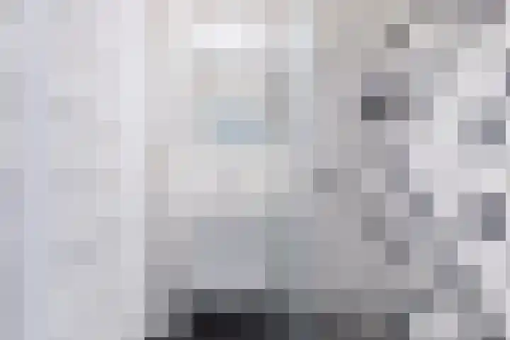 Monnetlaan 110 Utrecht thumbnail 4