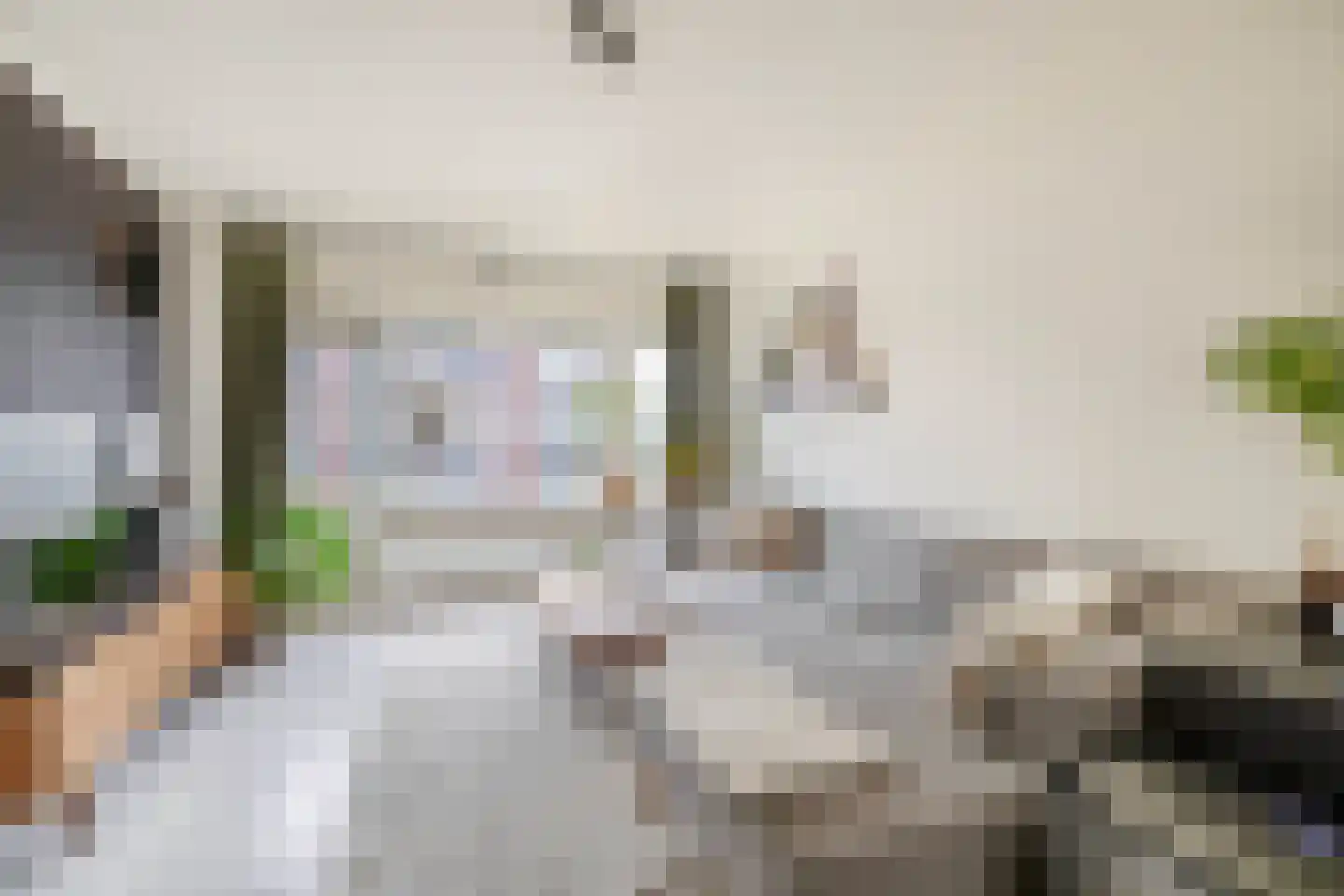 Monnetlaan 116 Utrecht thumbnail 11