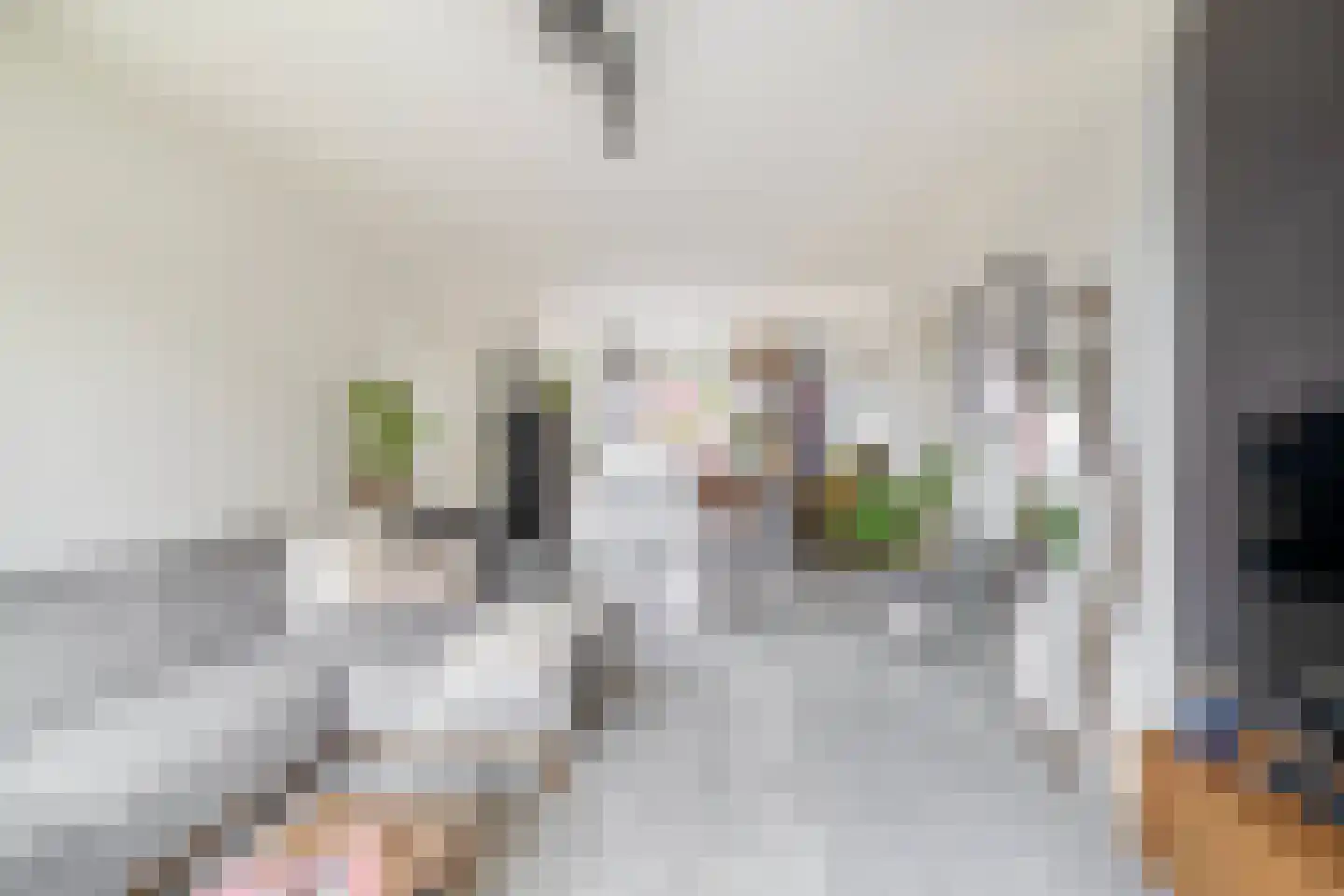 Monnetlaan 116 Utrecht thumbnail 12