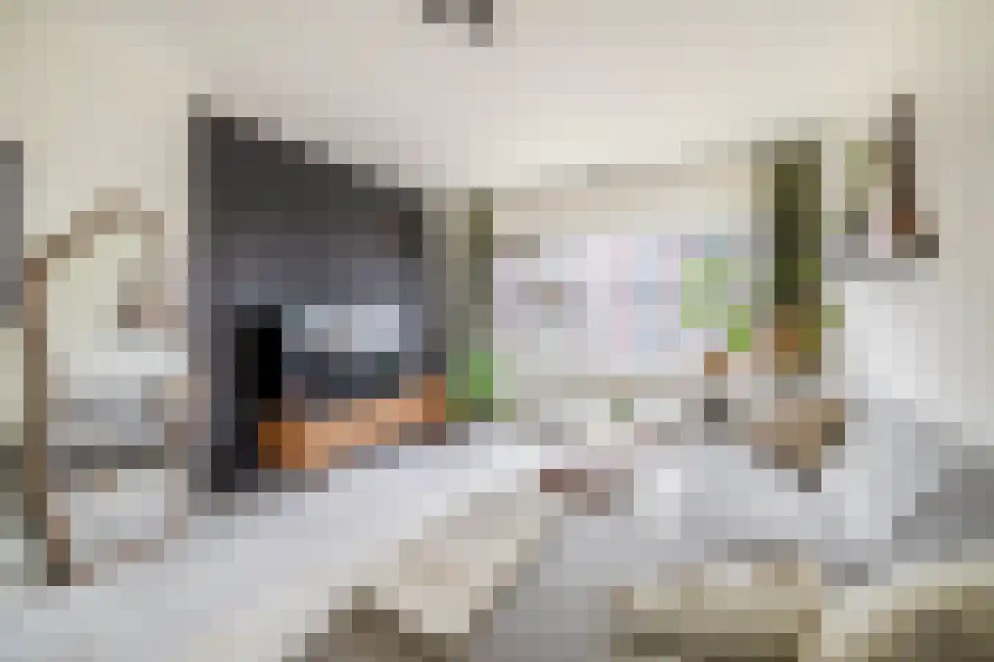 Monnetlaan 116 Utrecht thumbnail 13