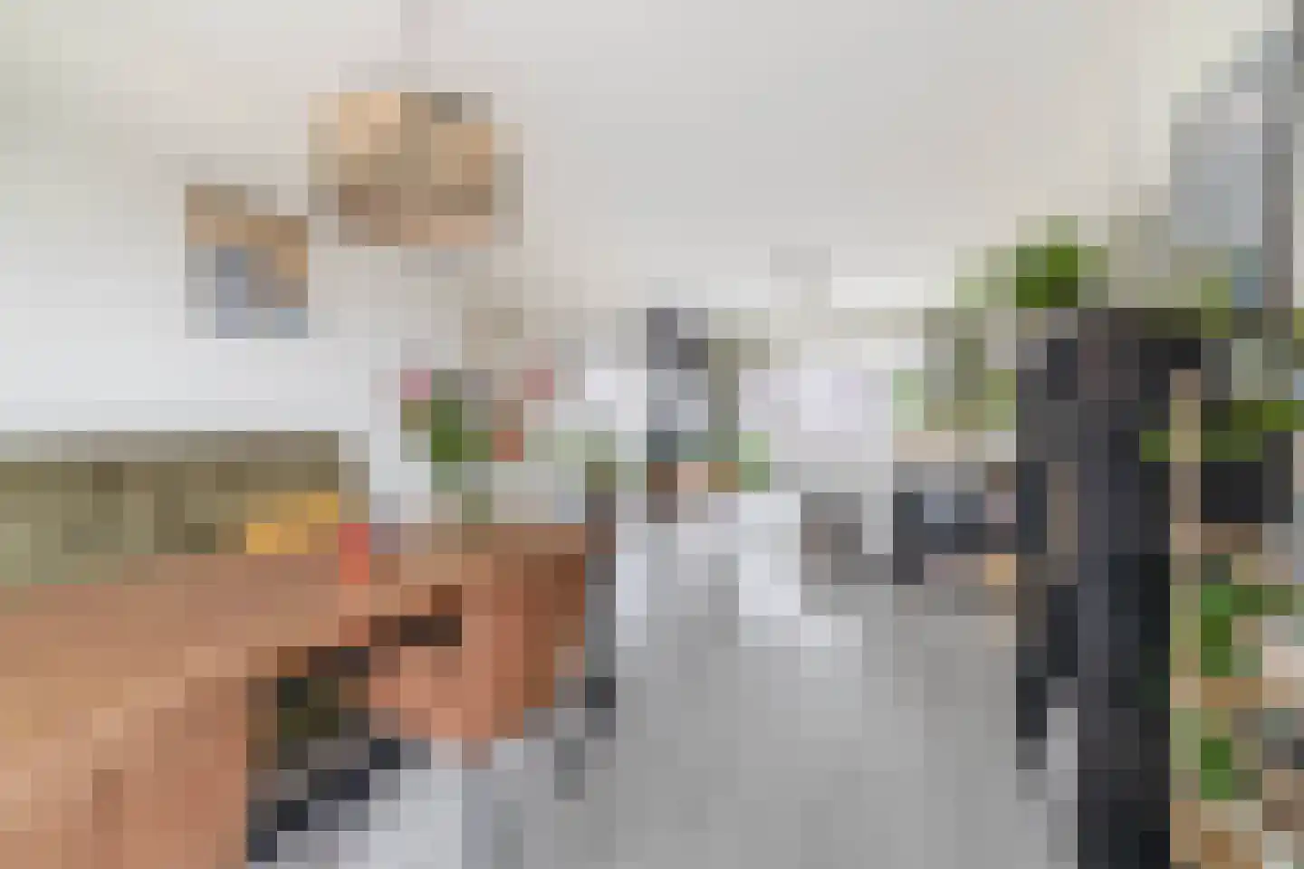 Monnetlaan 116 Utrecht thumbnail 18