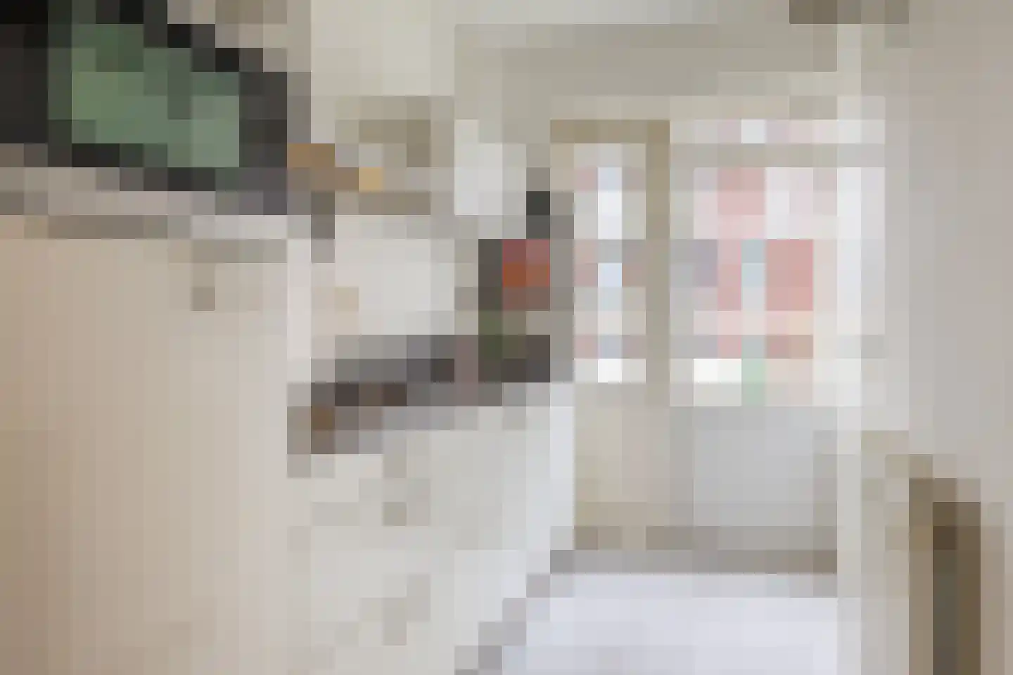 Monnetlaan 116 Utrecht thumbnail 20