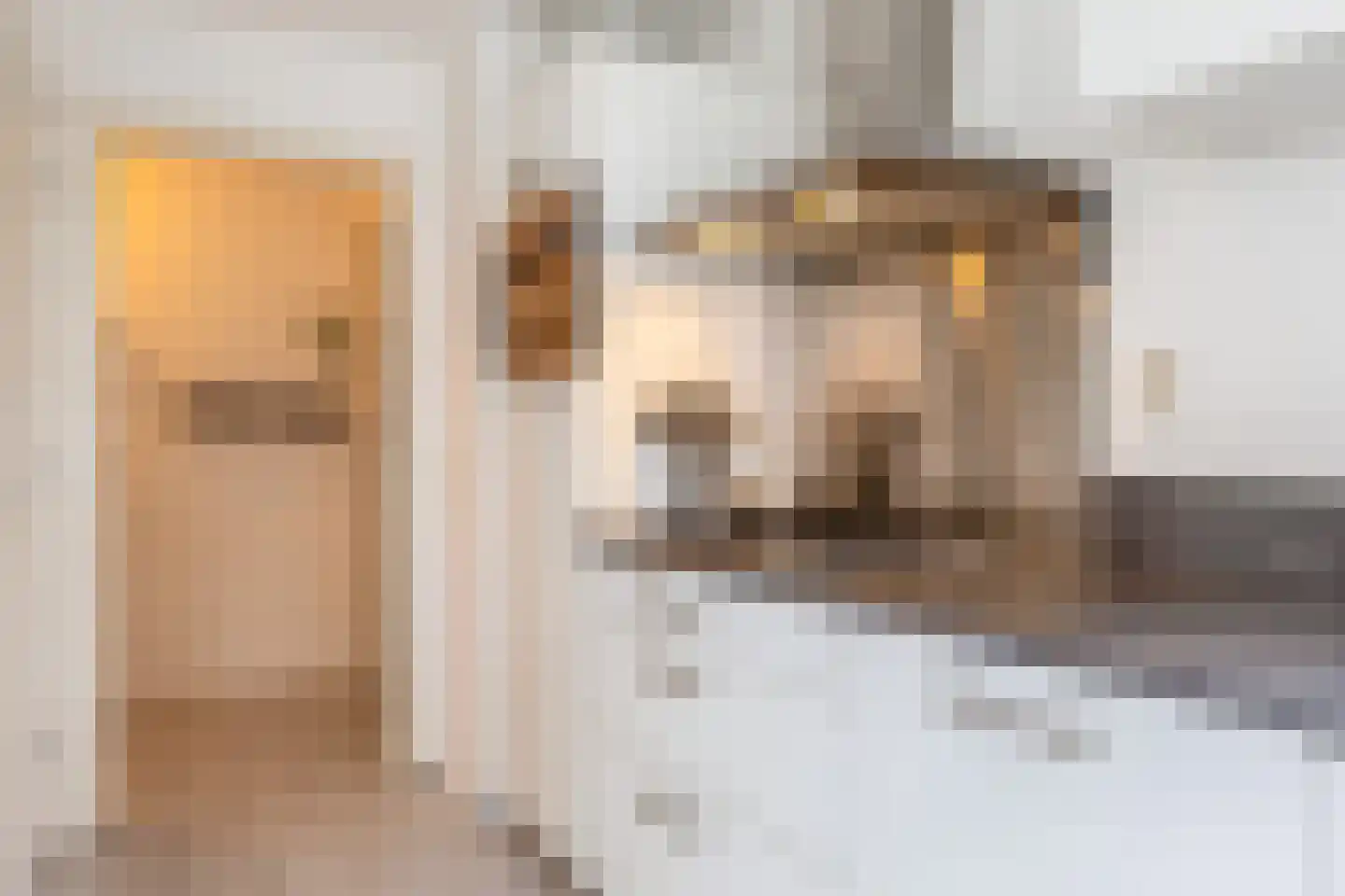 Monnetlaan 116 Utrecht thumbnail 21