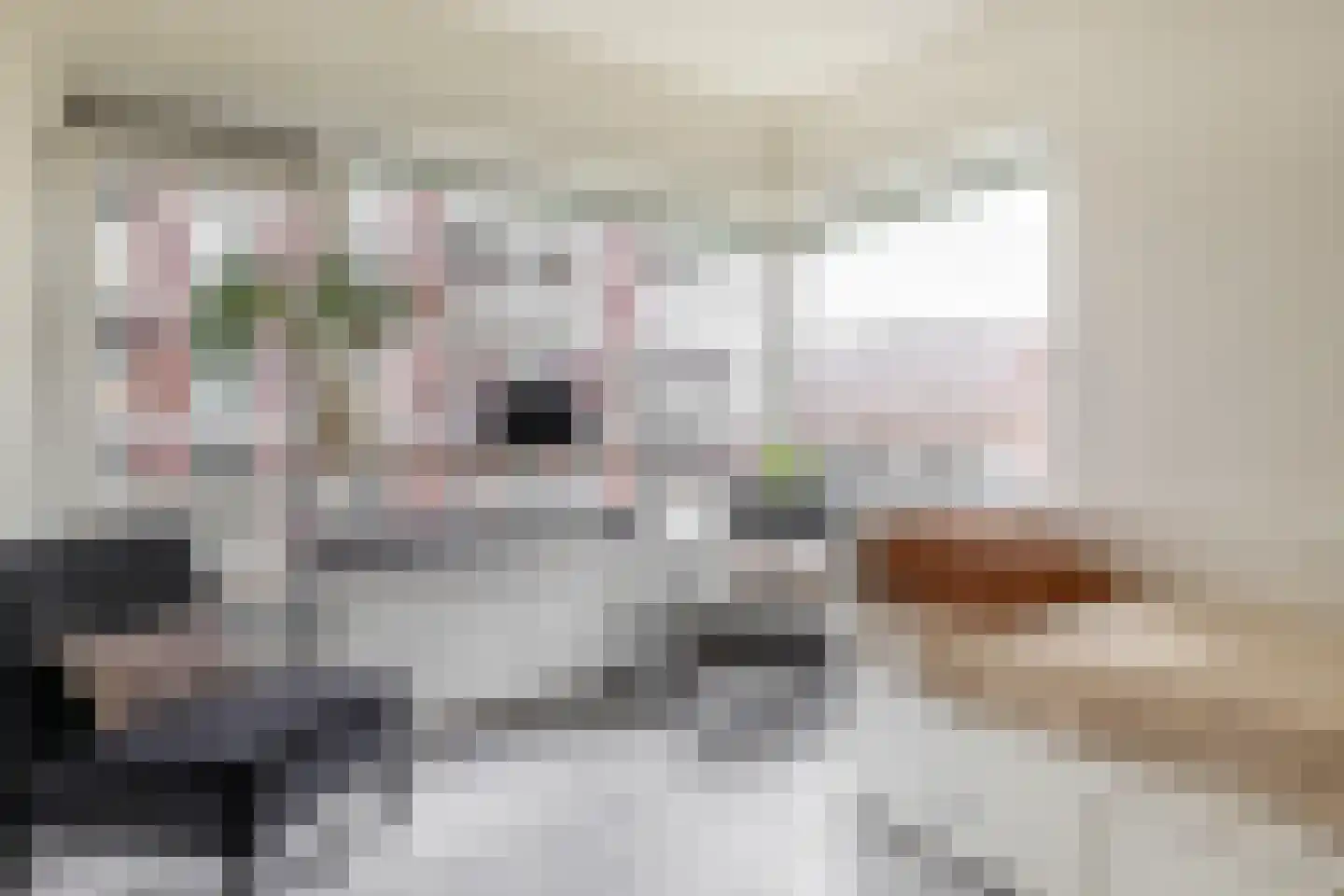 Monnetlaan 116 Utrecht thumbnail 31