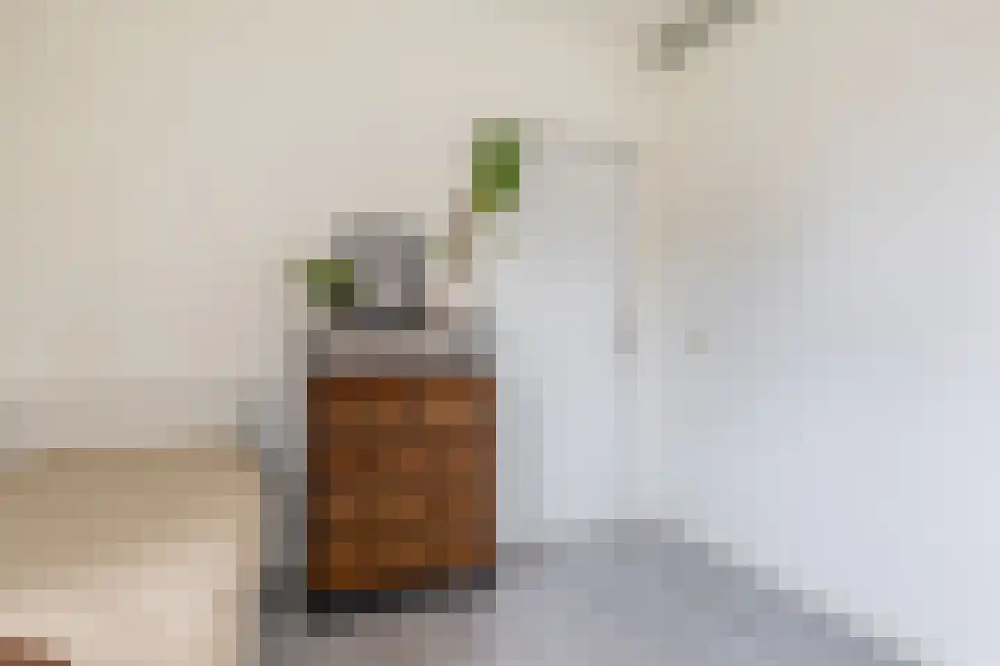 Monnetlaan 116 Utrecht thumbnail 32