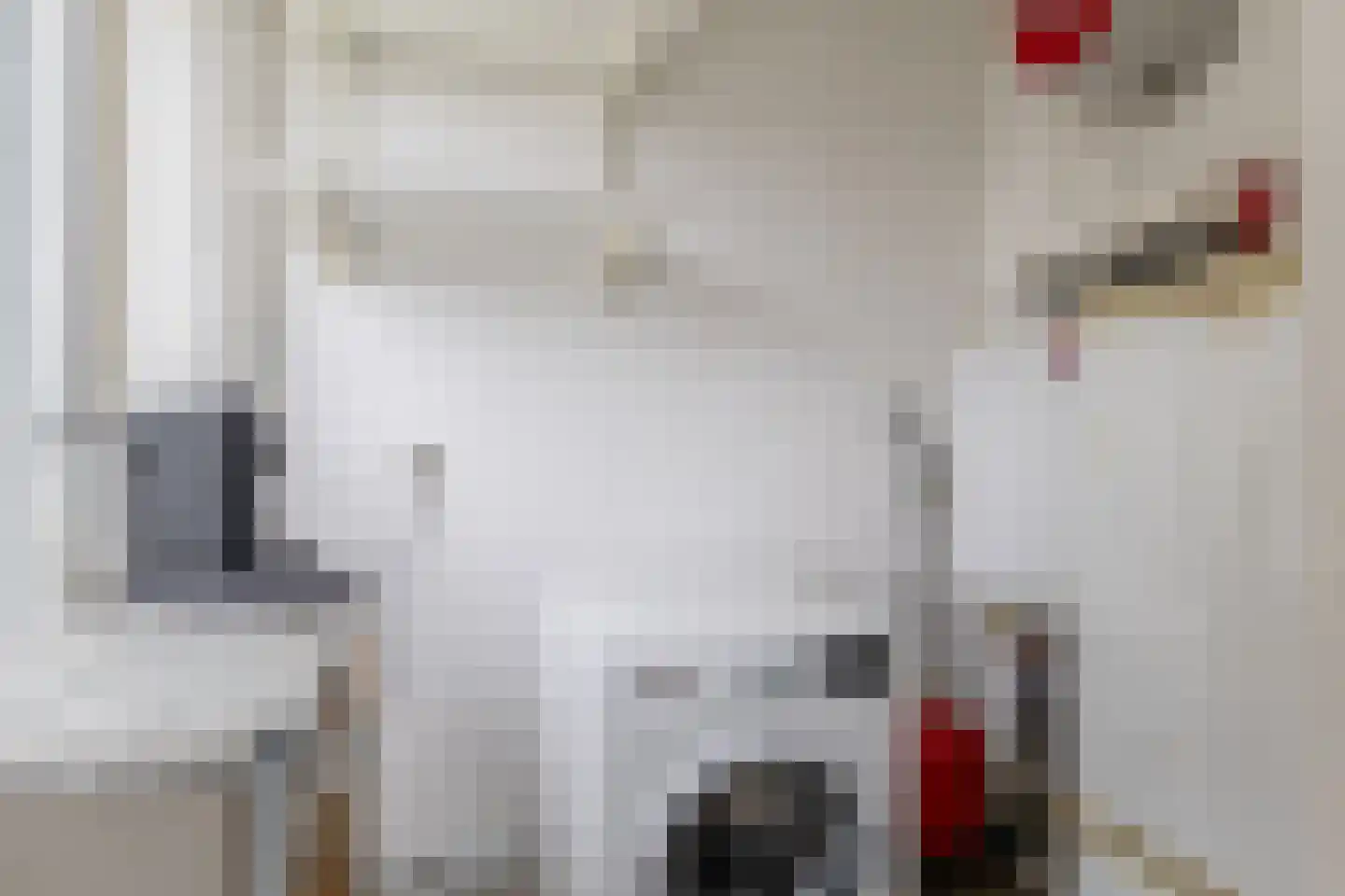 Monnetlaan 116 Utrecht thumbnail 33