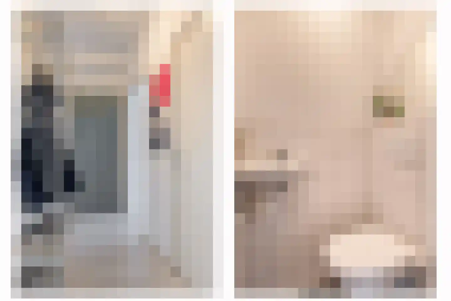 Monnetlaan 116 Utrecht thumbnail 8