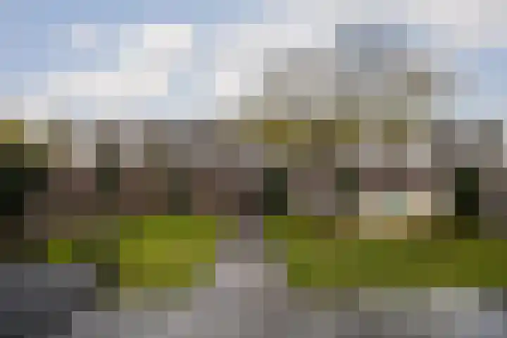 Monnetlaan 14 Utrecht thumbnail 26