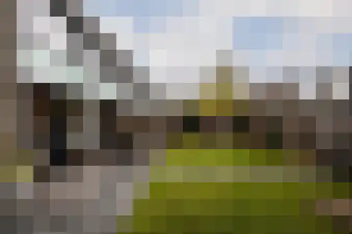 Monnetlaan 14 Utrecht thumbnail 31
