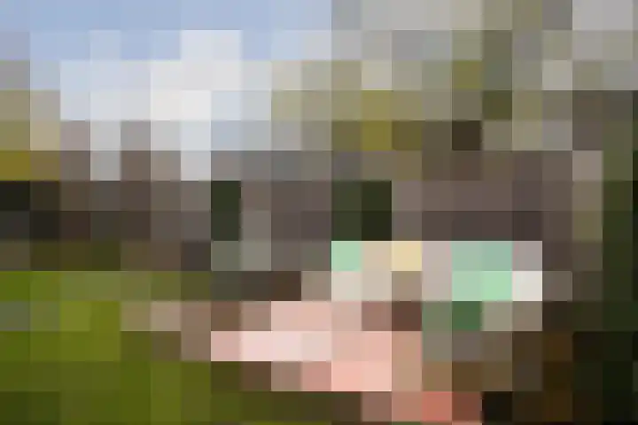 Monnetlaan 14 Utrecht thumbnail 32