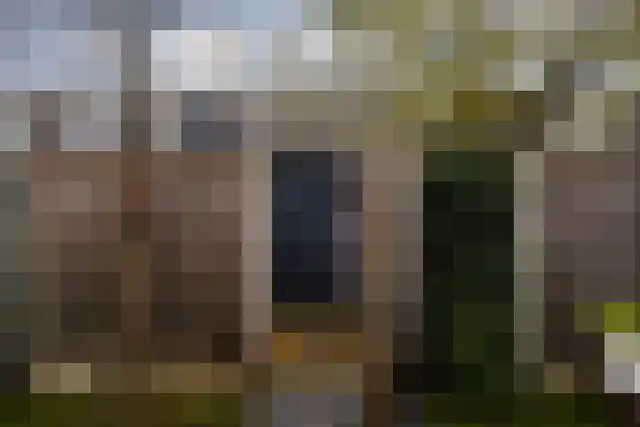 Monnetlaan 14 Utrecht thumbnail 33