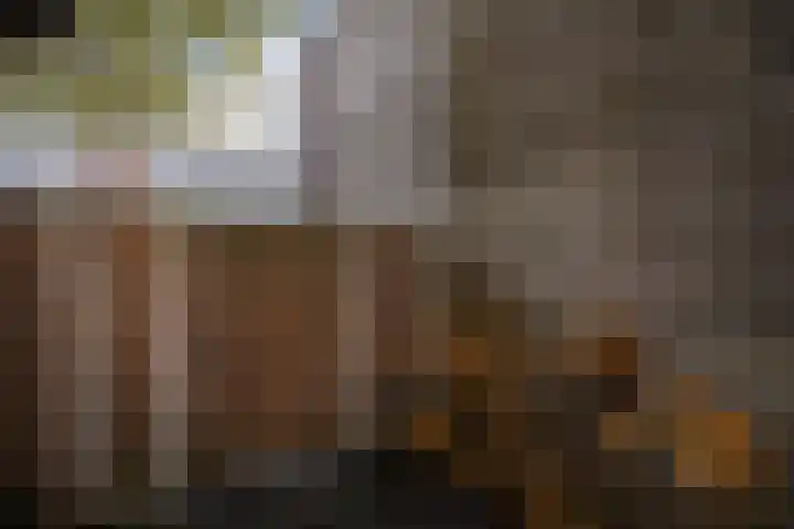 Monnetlaan 14 Utrecht thumbnail 34