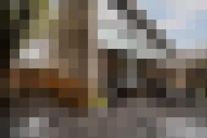 Monnetlaan 14 Utrecht thumbnail 35